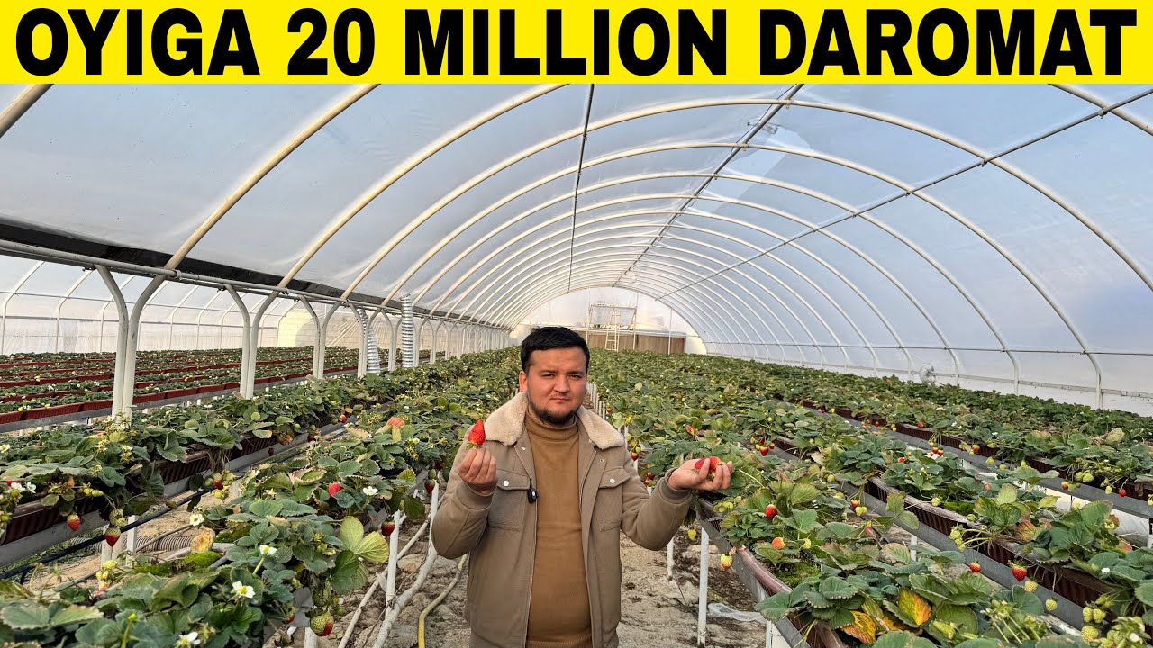QISHLOQ SHAROITIDA OYIGA 20 MILLION SOF FOYDA QILING