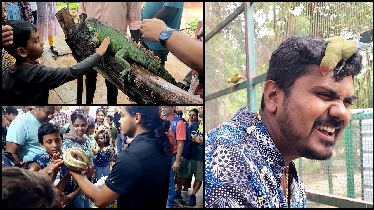 ಇಲ್ಲಿ ಹಾವನ್ನ ಇಲಿನ ಕೈಗೆ ಕೊಡ್ತಾರೆ🙆‍♀️😲!PRANI THE PET SANCTUARY😍