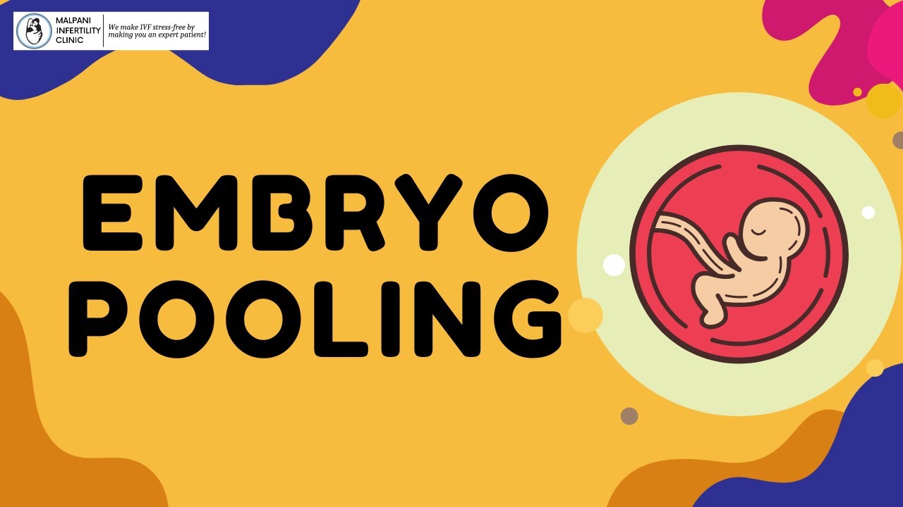 How many embryos should I pool ? | Embryo pooling | IVF Treatment