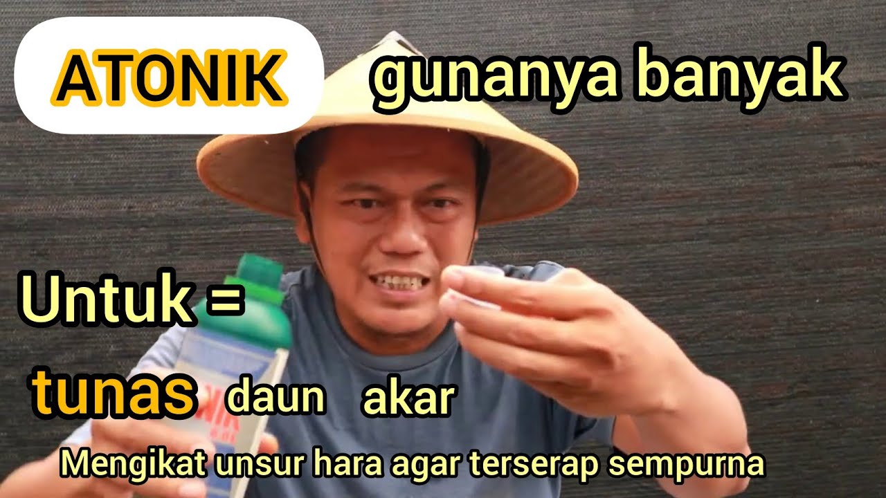 Gunanya banyak, pakai atonik untuk akar, tunas, daun, dosisnya?