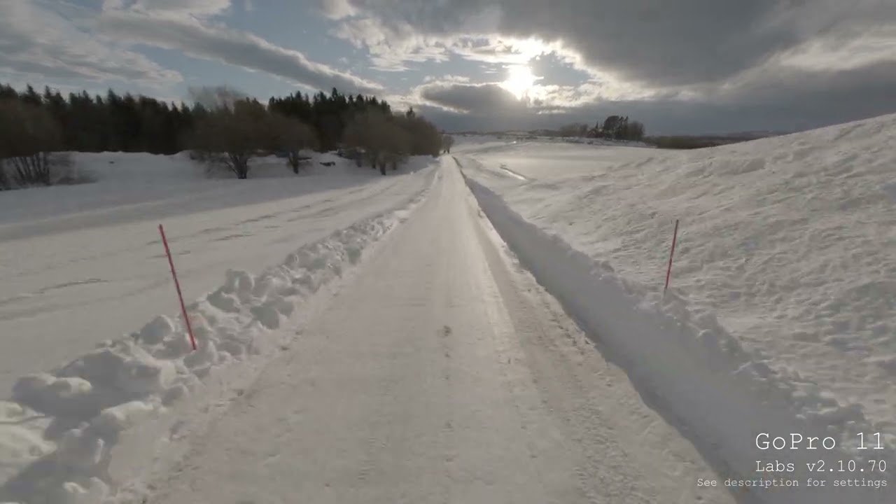 GoPro 11 Labs - WIDE gamut - Ungraded