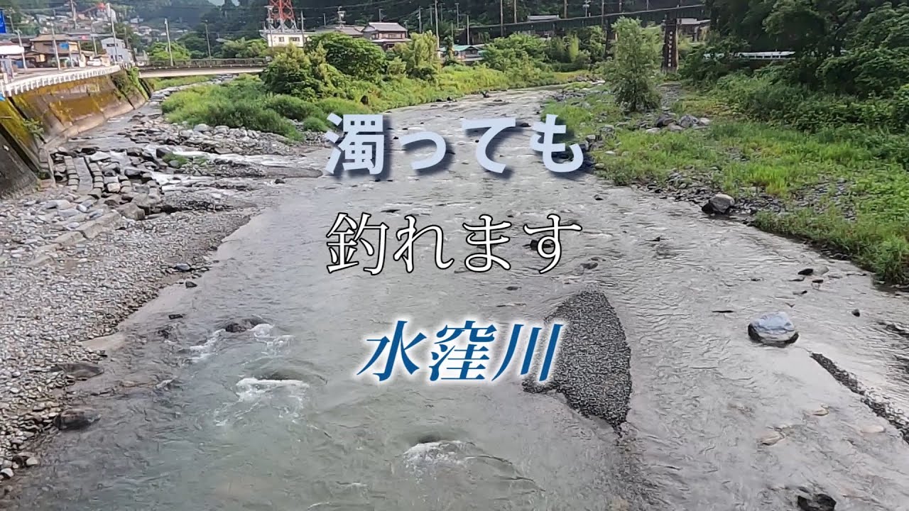 鮎に魅せられて66　濁っても釣れます水窪川