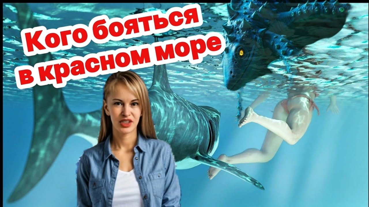 Кто страшнее акул в красном море?!