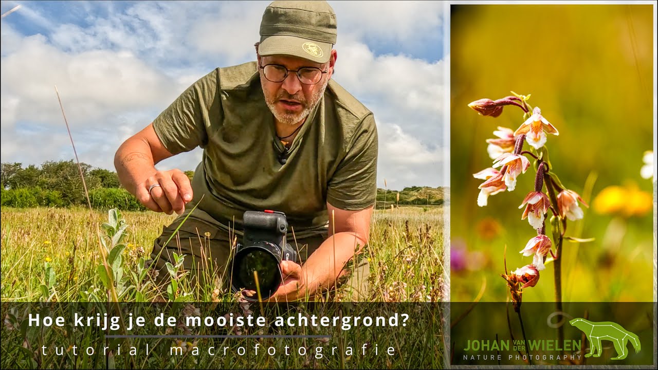 ~ Hoe krijg je de mooiste achtergrond? ~ Tutorial macro- / detailfotografie