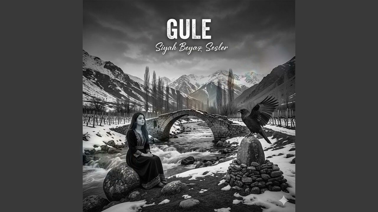 Siyah Beyaz Sesler - Gule