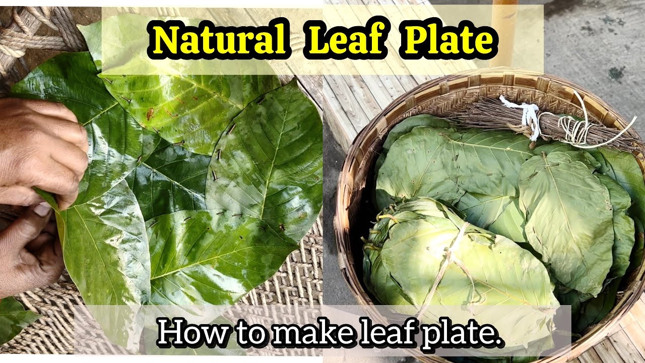 साल के पत्ते की थाली ll How To Make Plates With Leaf ll Eco friendly Plates ll Biodegradable Plate