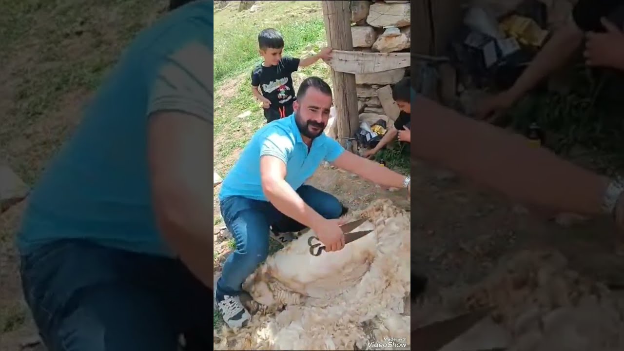 VAN GEVAŞ DAĞ YÖRE KÖYÜ