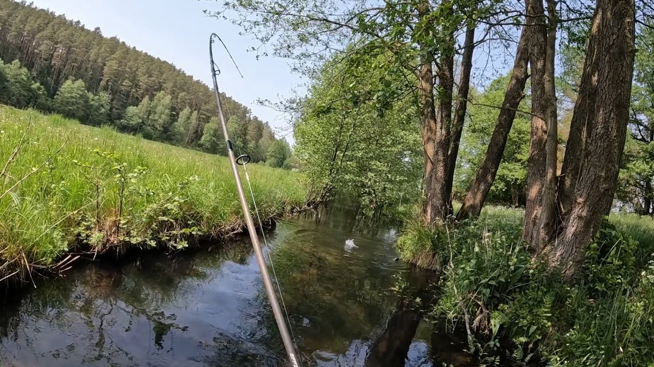 Tu są PSTRĄGI ?! | Spinning na Strumyku