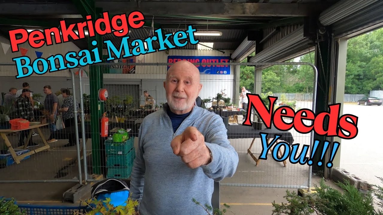A trip to Penkridge Bonsai Market 2025