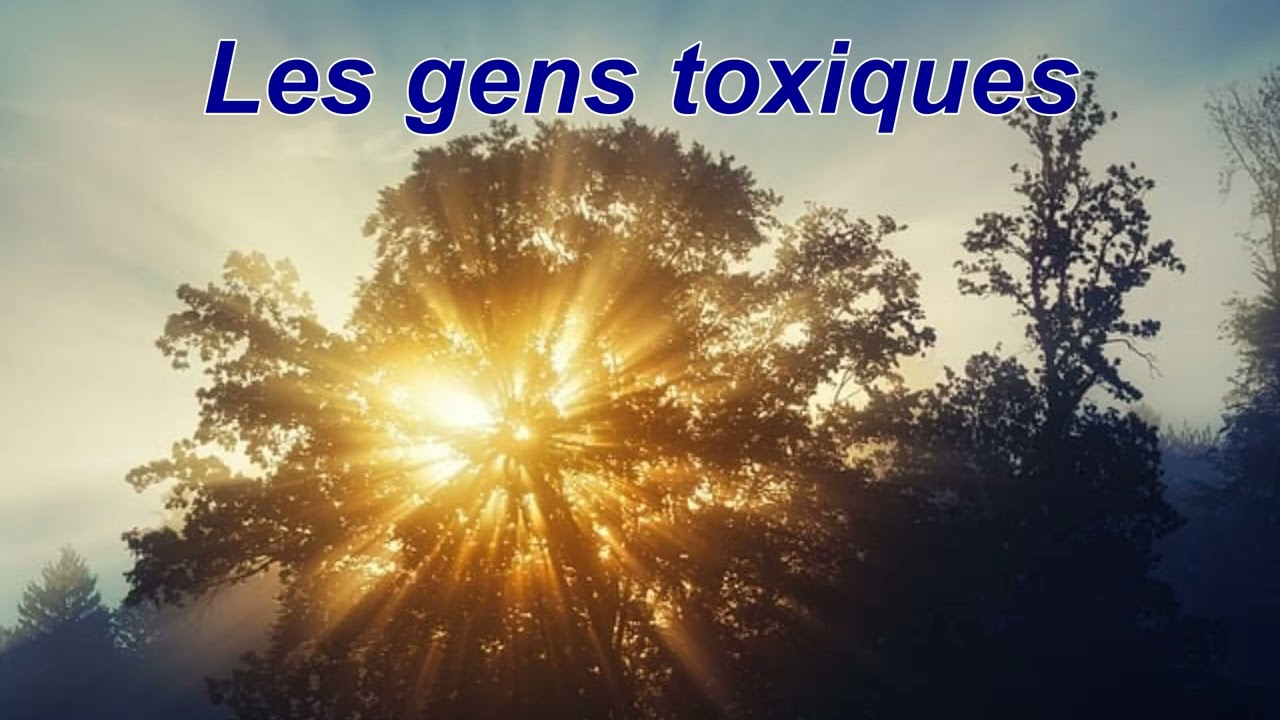 L'Art du bien être -  