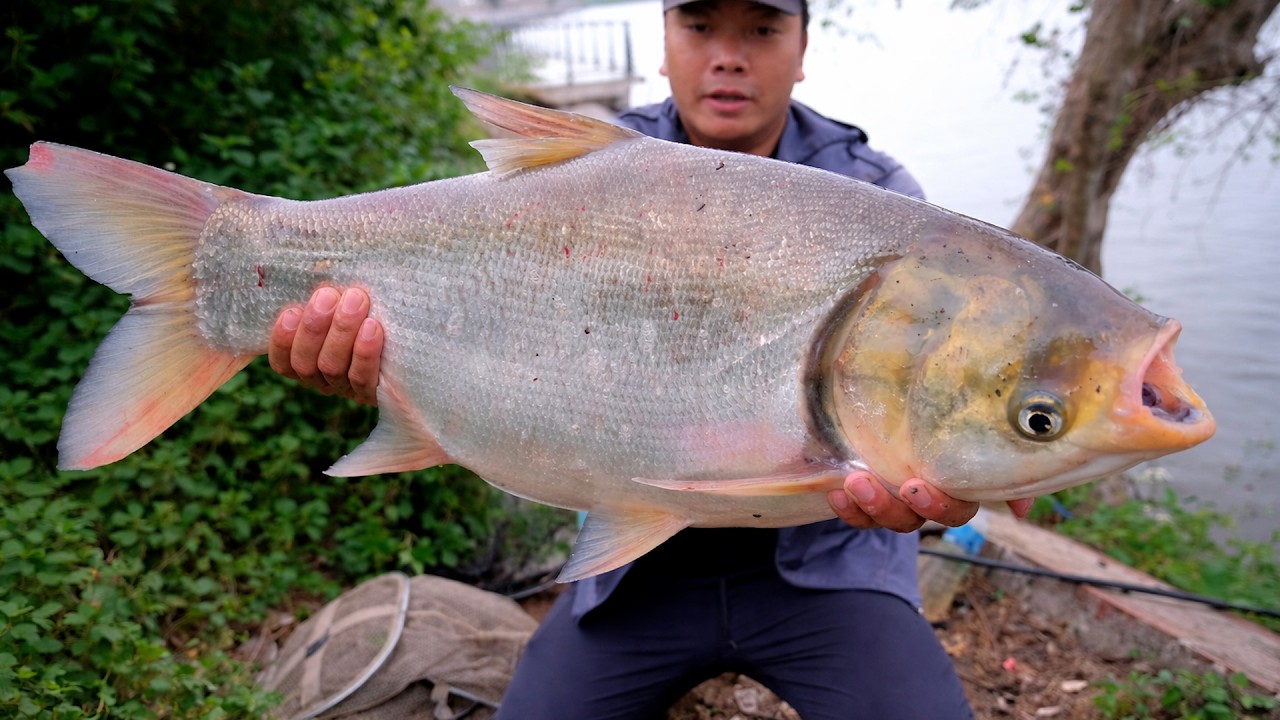 C&acirc;u Được C&aacute; KHỦNG Nặng K&yacute; 😱 | Trải Nghiệm C&acirc;u C&aacute; S&ocirc;ng Đỉnh Cao | Big Fish Fishing