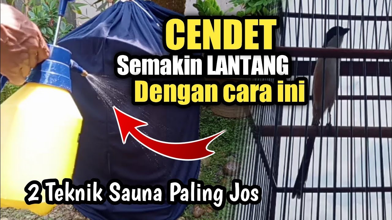 Cukup 2 Teknik jemur CENDET Anda Moncer