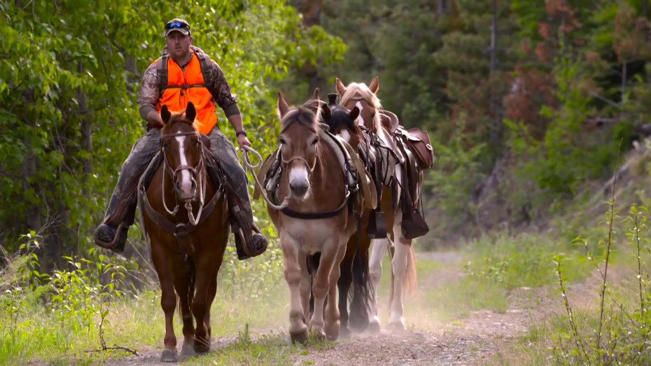 Experience Swan Mountain Outfitters 2016