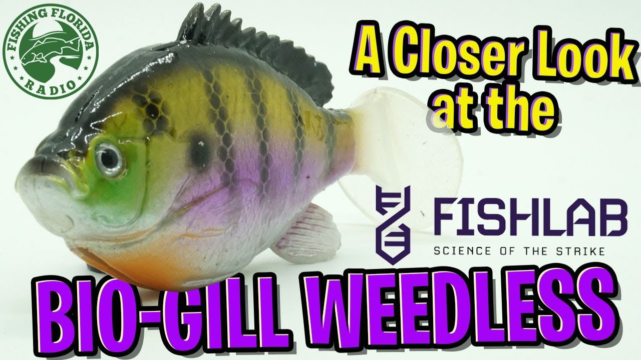 A Closer Look at the Fishlab Bio Gill Weedless Swim Bait - Largemouth Bass Fishing