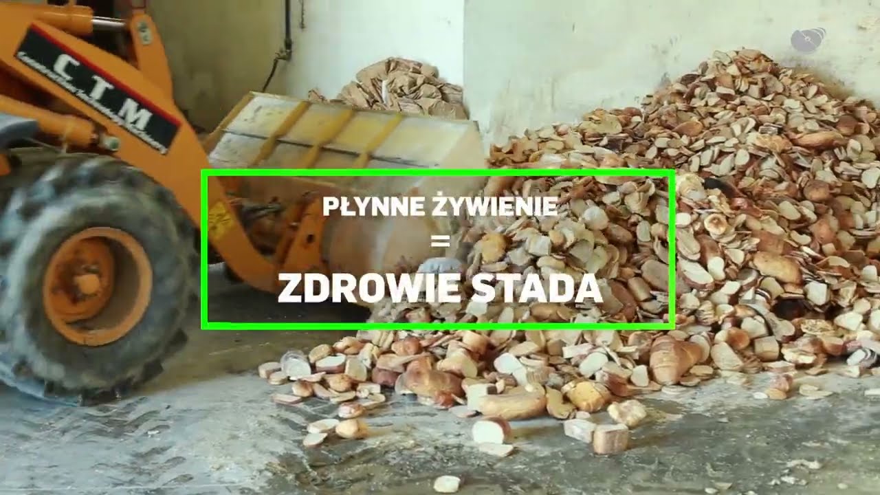 Płynne żywienie trzody chlewnej - Akademia Płynnego Żywienia De Heus