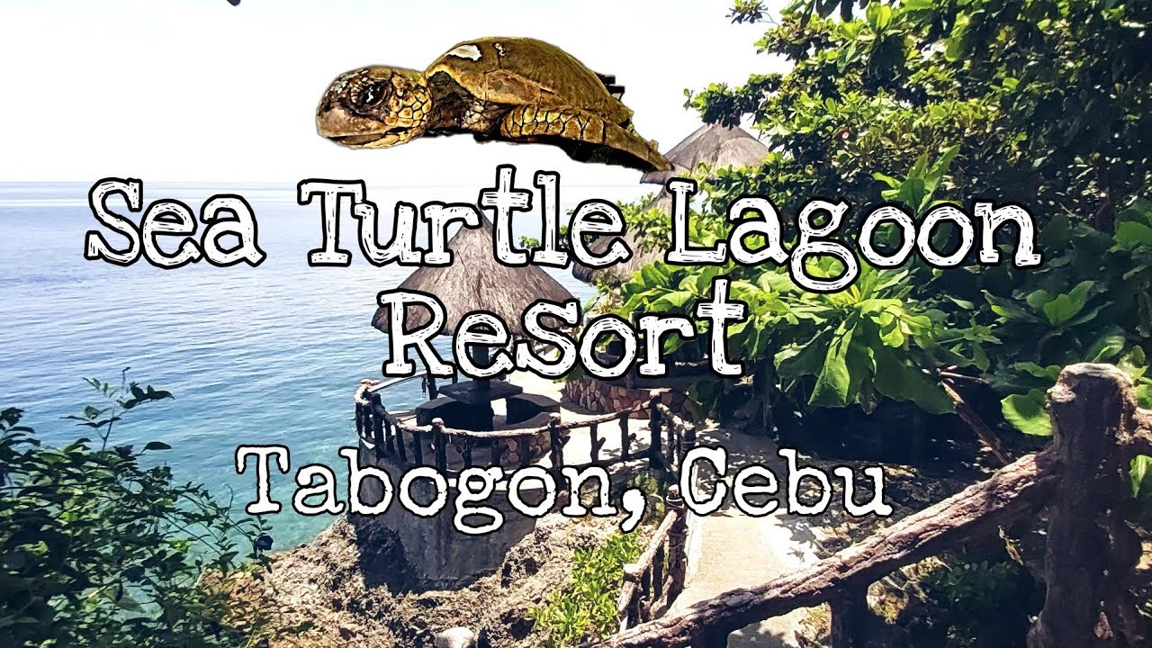 Sea Turtle Lagoon Resort || Tabogon, Cebu || Discovery Travels