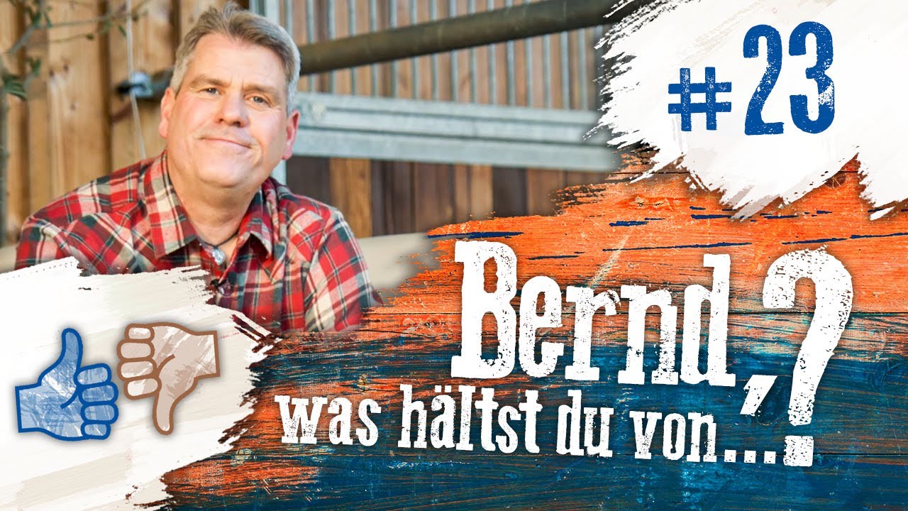 Bernd, was hältst du von...? #23 Schritt laufen, Kopflampen, und Kinder mit Sporen und Kandaren