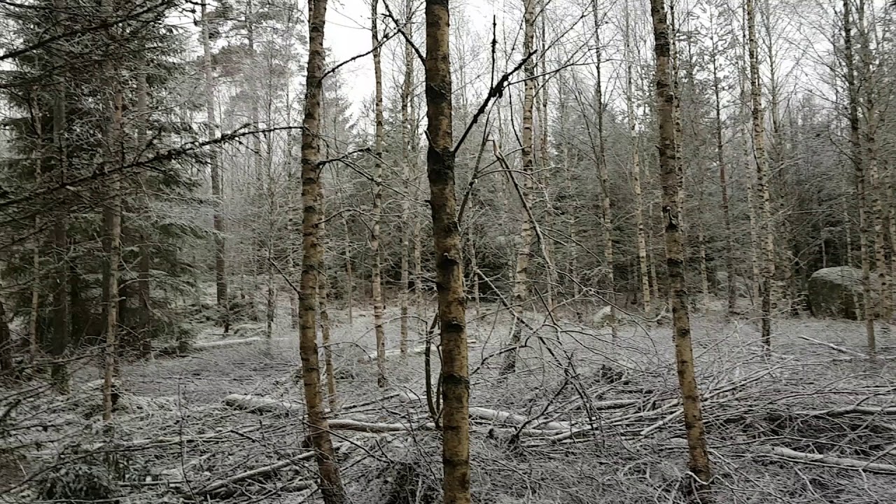 Vedgallring