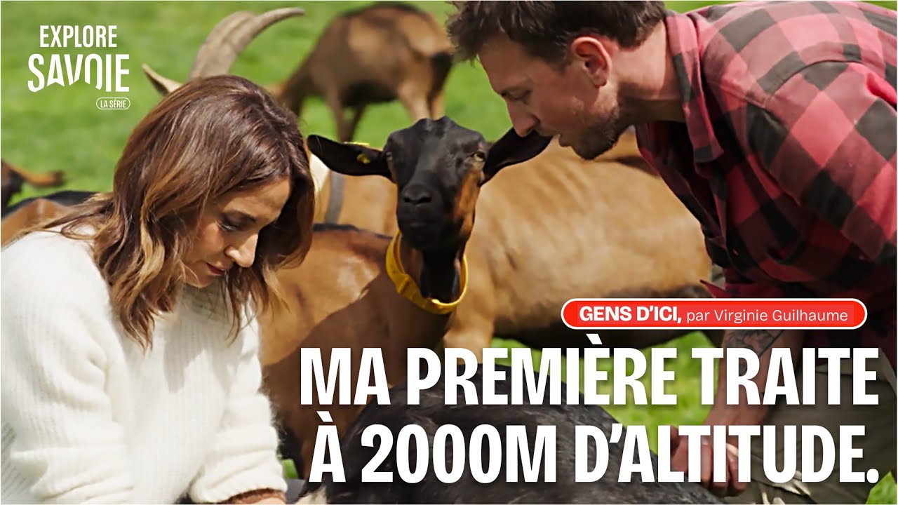 Ma première traite à 2000 m d’altitude !