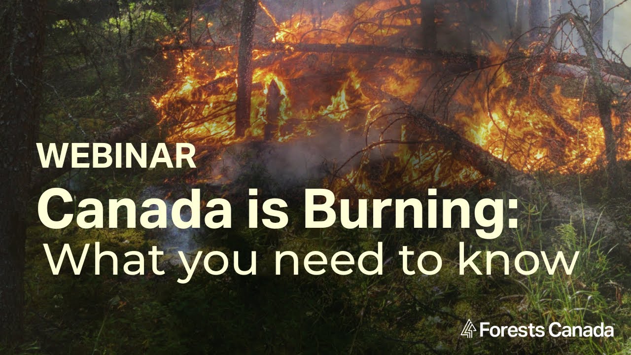 Canada is Burning: What you need to know