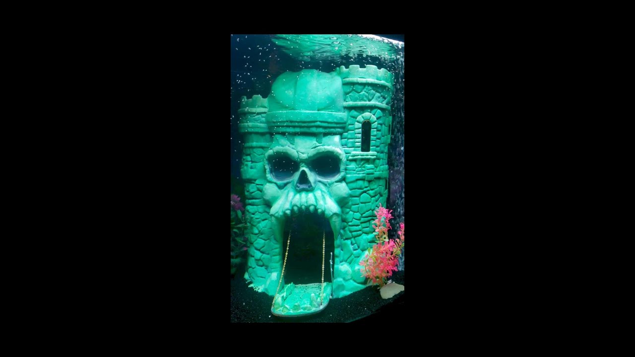 Masters of the Universe, Castle Grayskull,  Aquarium