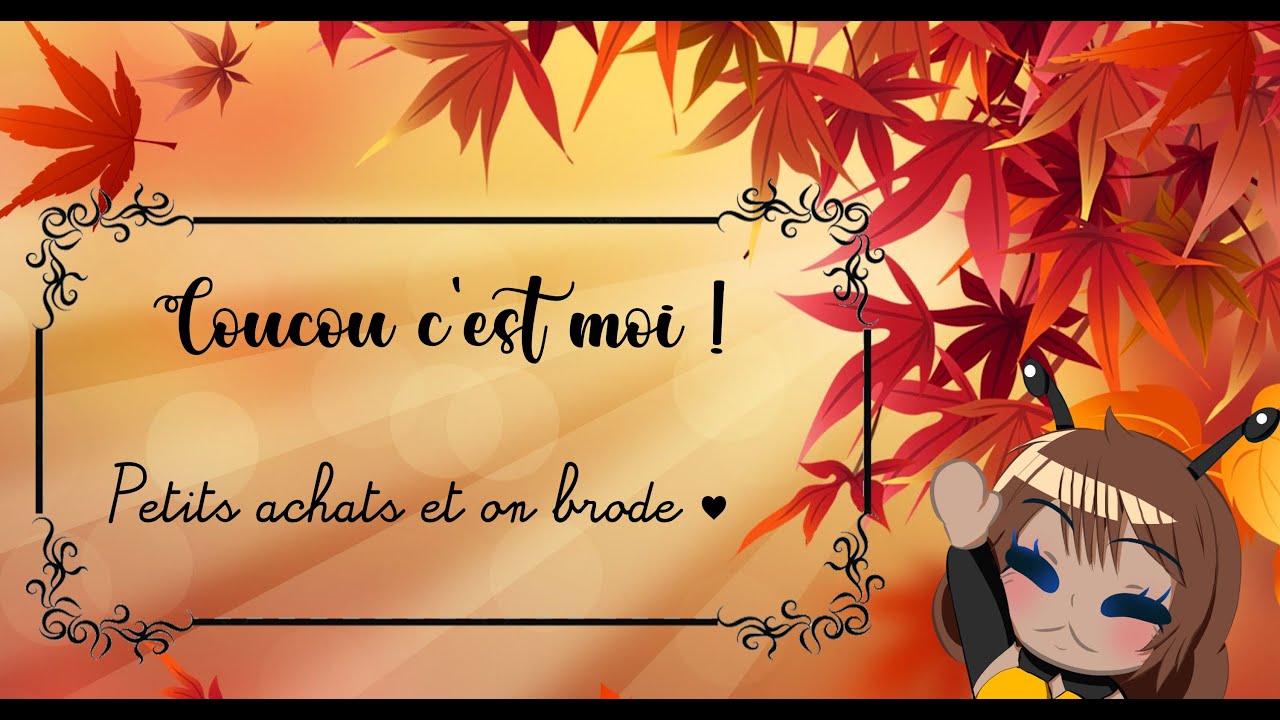 coucou c'est moi! petits achats et on brode ♥