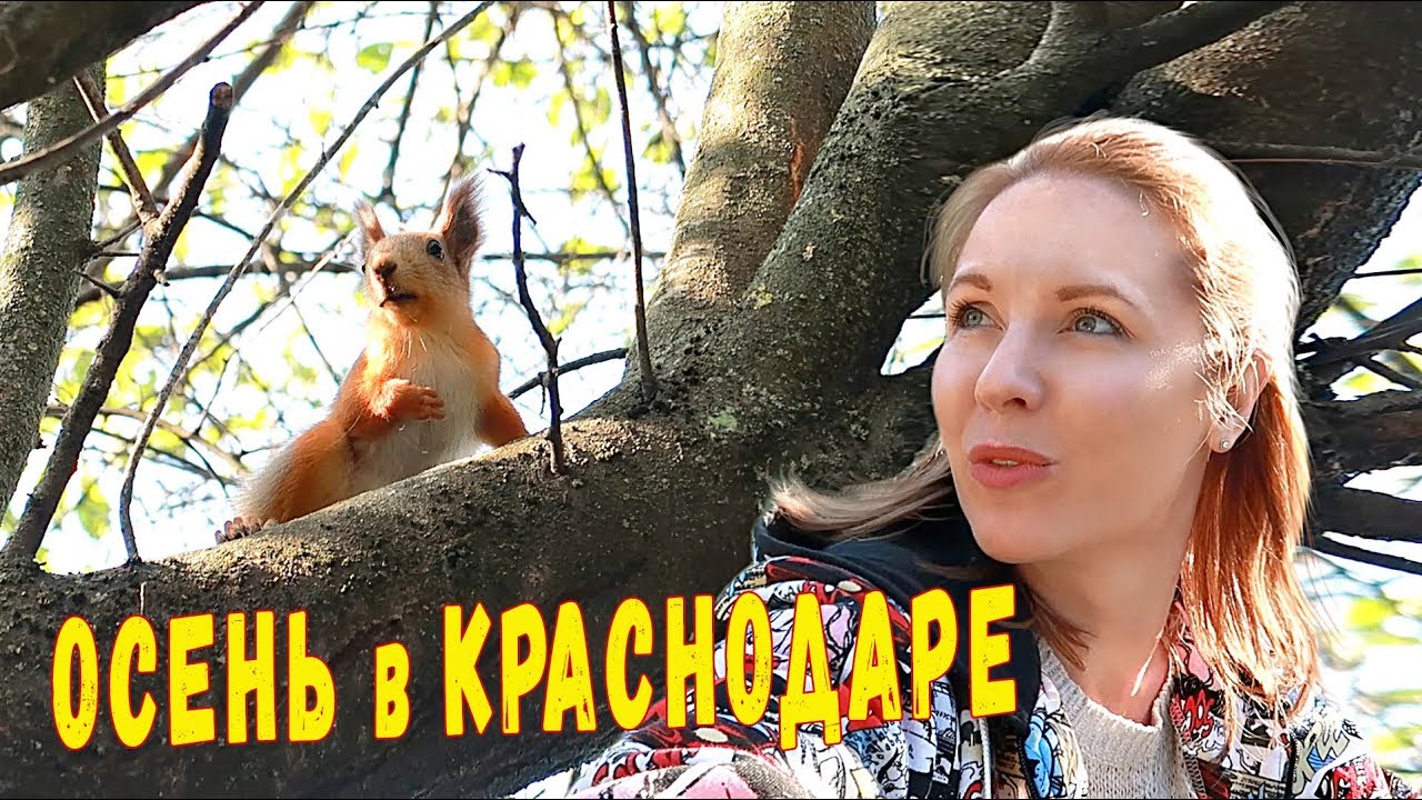 Ботанический сад им. И.С. Косенко. Краснодар