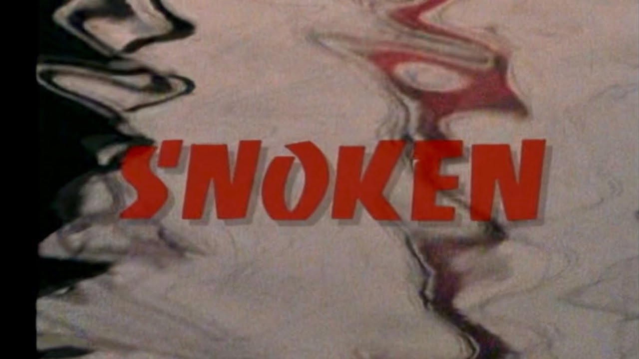 Intro: Snoken 1995, SVT