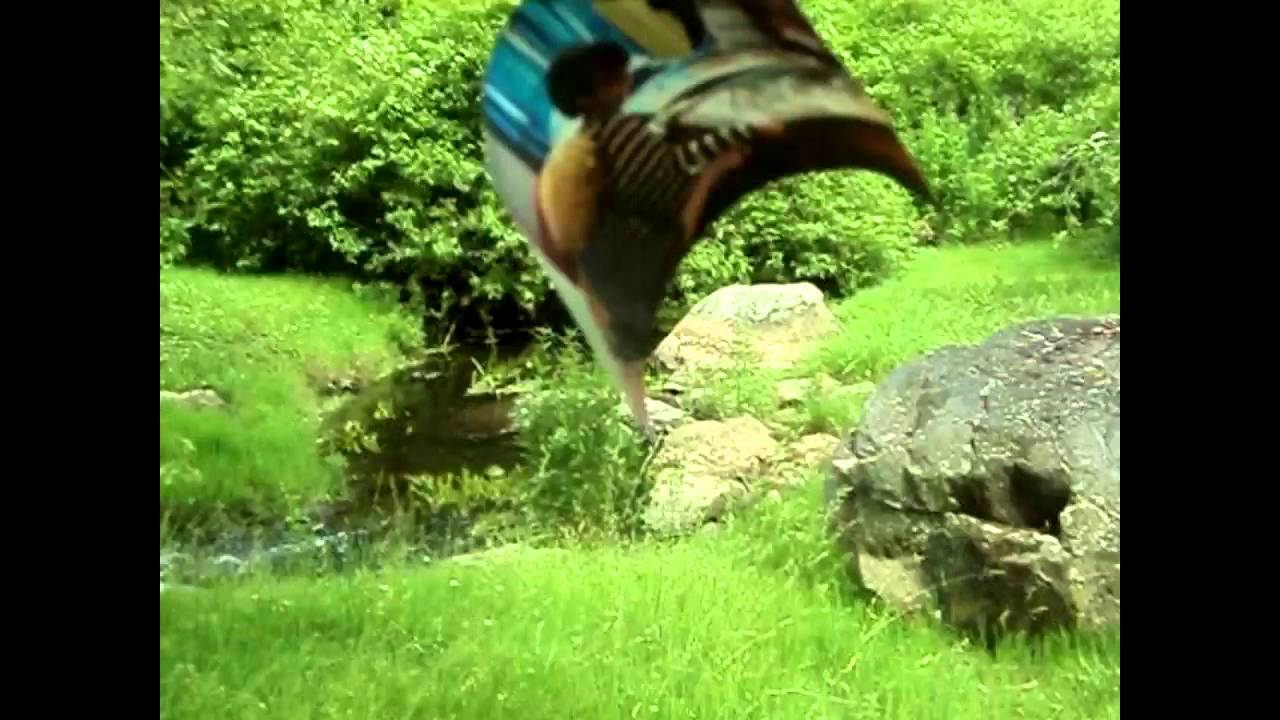 [S] Dirk : Choose Jake CMV