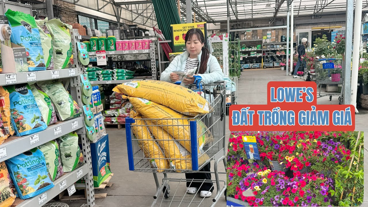 #140 - Sáng nay đi Lowe’s mua thêm đất về trồng,mùa này có nhiều hoa đẹp lạ quá  #california