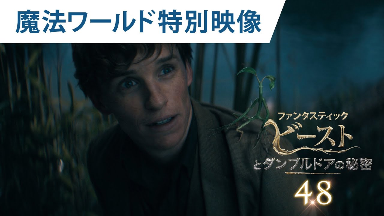 映画『ファンタスティック・ビーストとダンブルドアの秘密』魔法ワールド特別映像 2022年4月8日（金）公開
