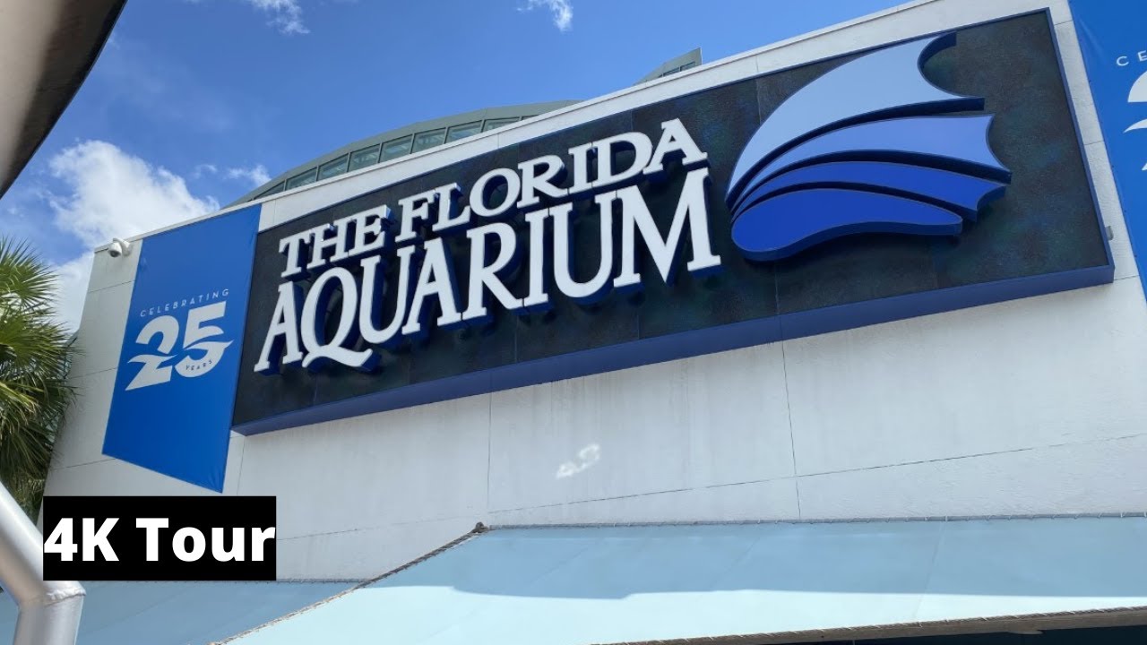 The Florida Aquarium - 4K Tour - Tampa, Florida