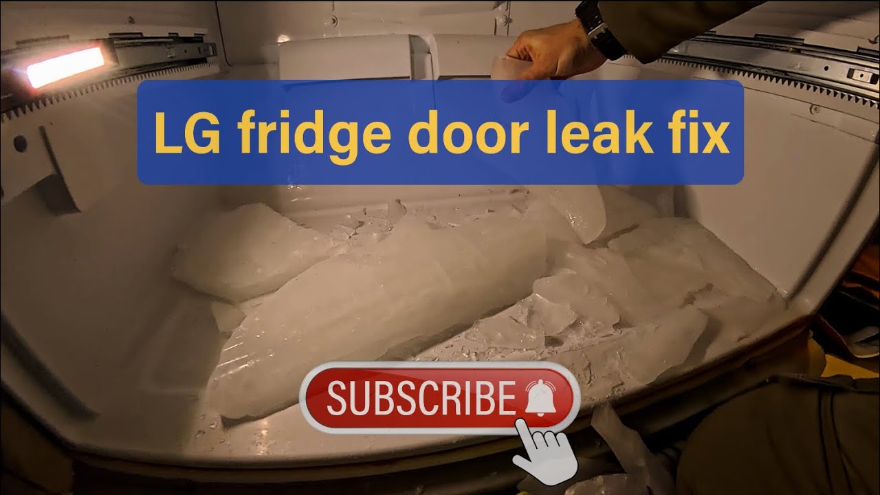 Lg refrigerator leaking from the freezer door