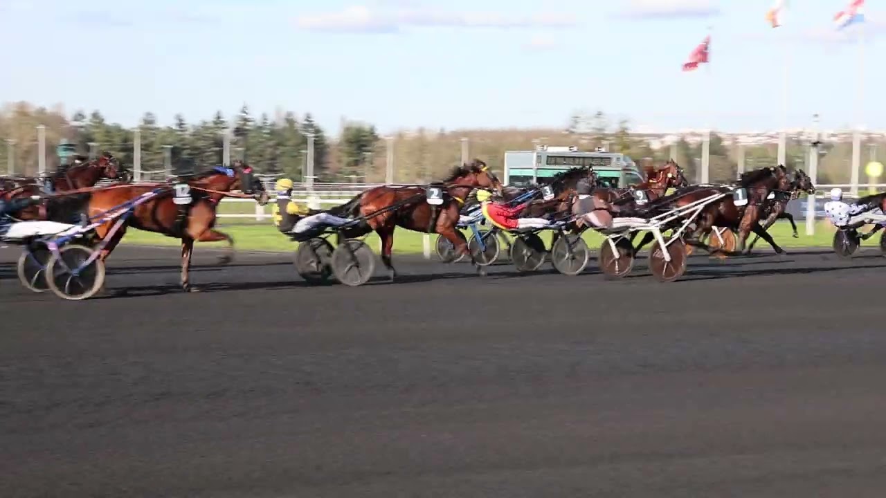 Hippodrome PARIS-VINCENNES Prix de France EQWIN Le 8.02.2026