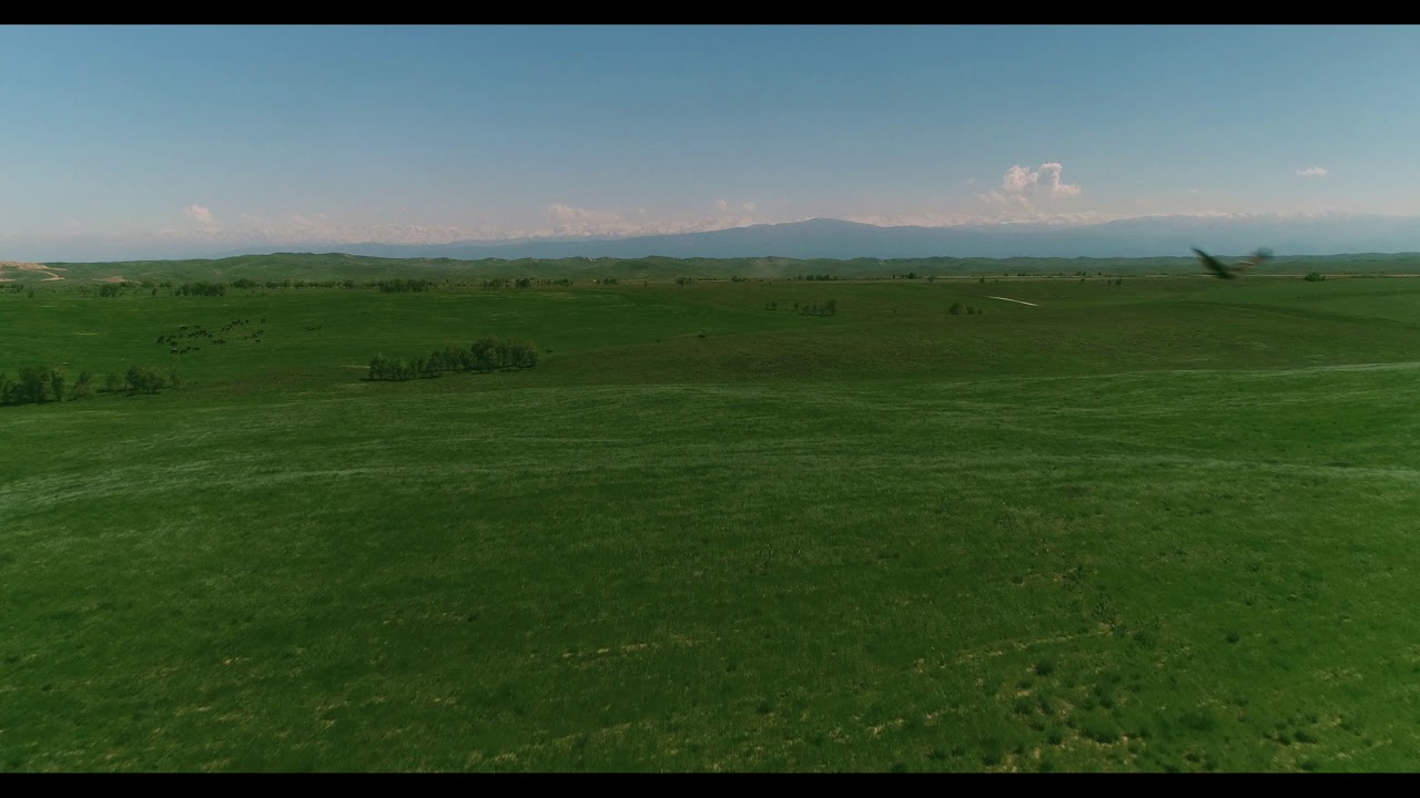 Казахская степь в 4К - Kazakh steppe in 4K