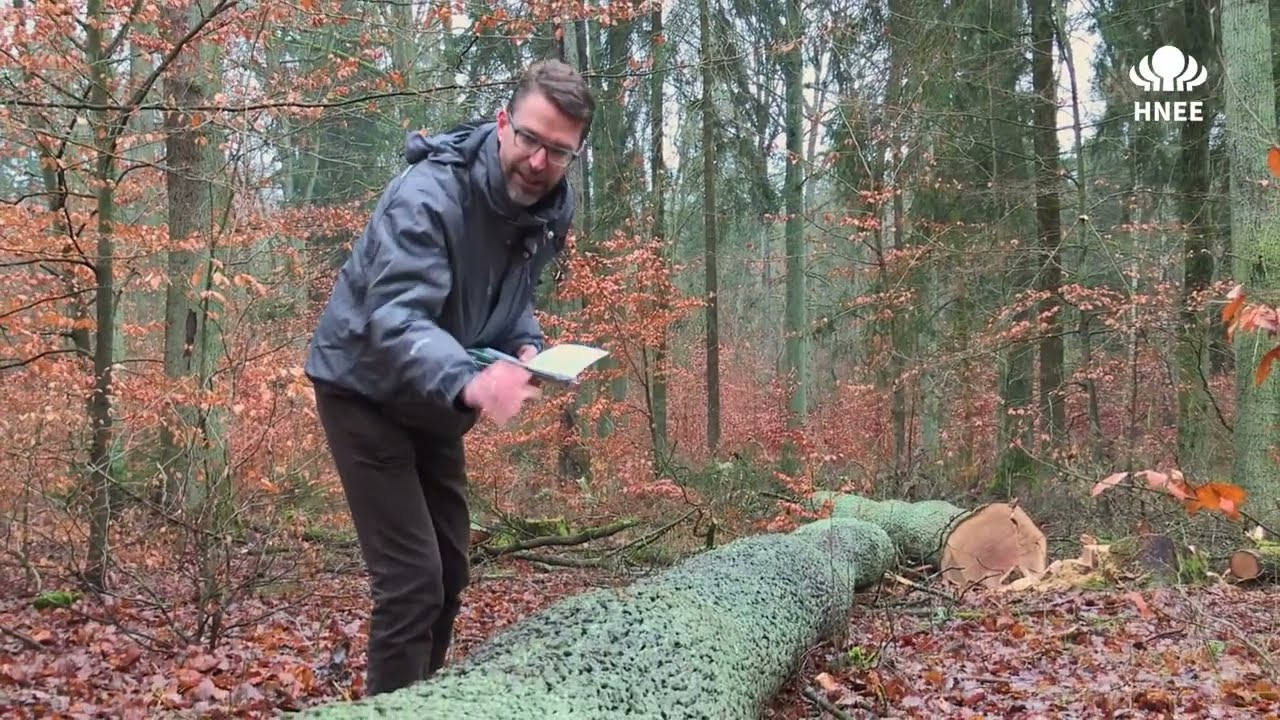 Digital Forest Lab | Holzsortierung Eiche (7)