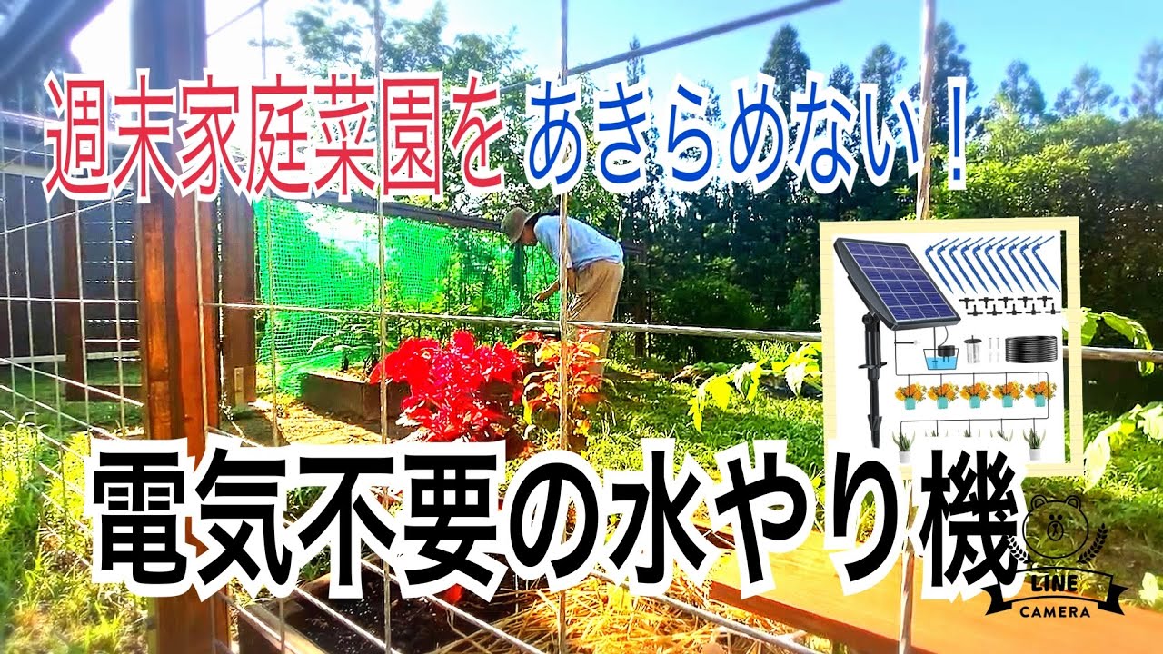 【二拠点生活】28 家庭菜園デビュー　別荘にソーラー自動水やり機を設置！