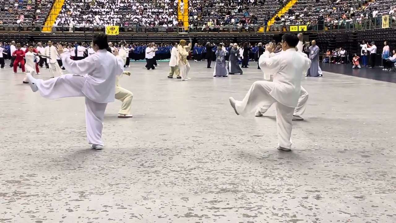 20251025世界盃八大全運選手表演