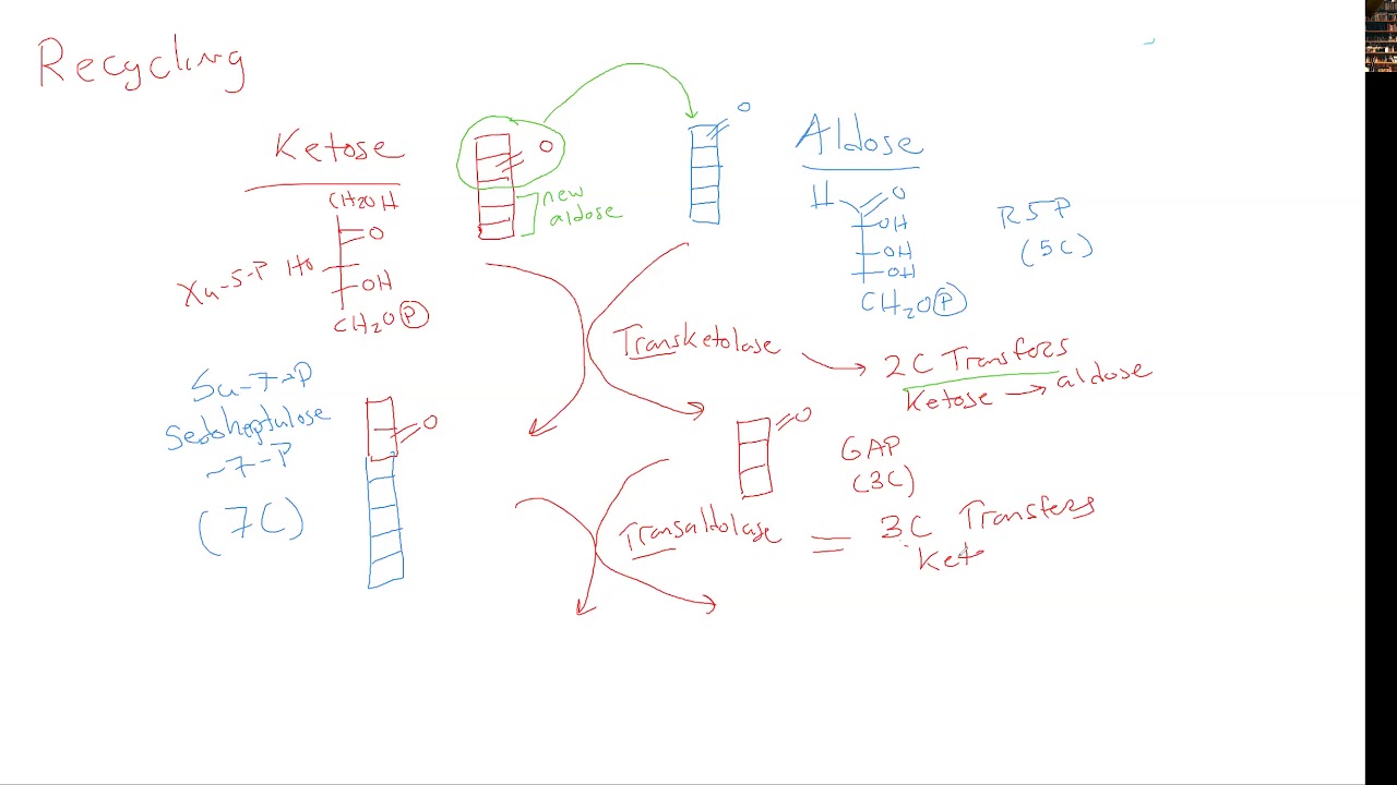 CHEM 407 - Pentose Phosphate Pathway - 3 - Isomerization and Recycling Overview