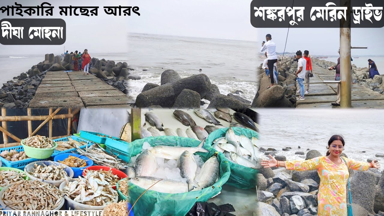 শঙ্করপুর 🌊 Shankarpur Sea Beach 🏖️ Fish Market Digha Mohona / Digha Fish Market / Digha Mohona