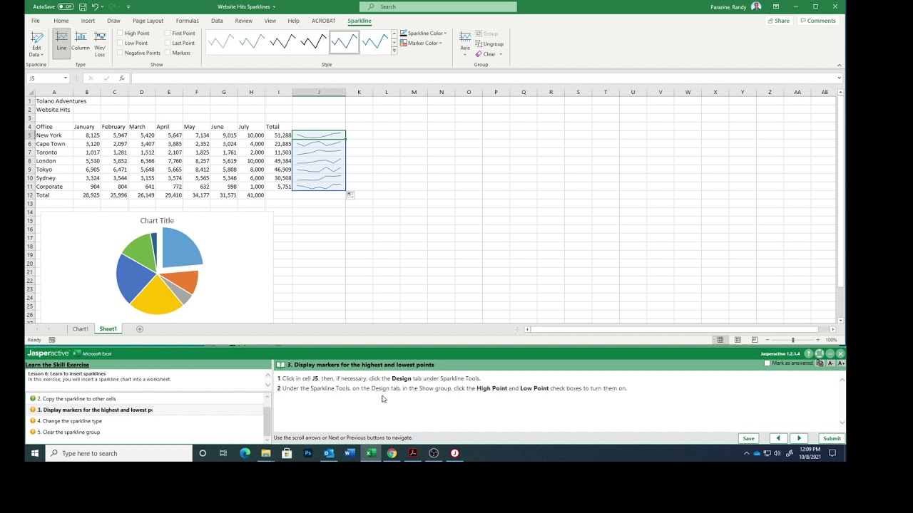 Excel Lesson 6g Using Sparklines