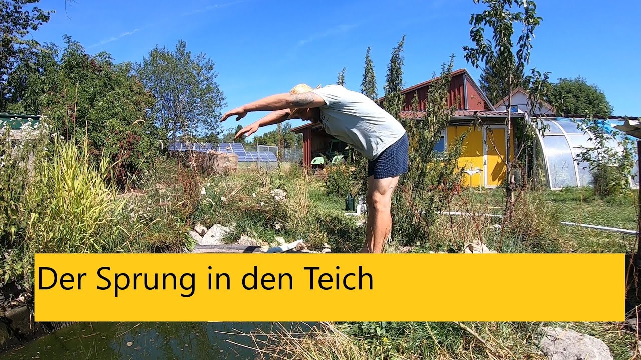 Ein neues Hilfsgerät bei Haus und Hof, unboxing
