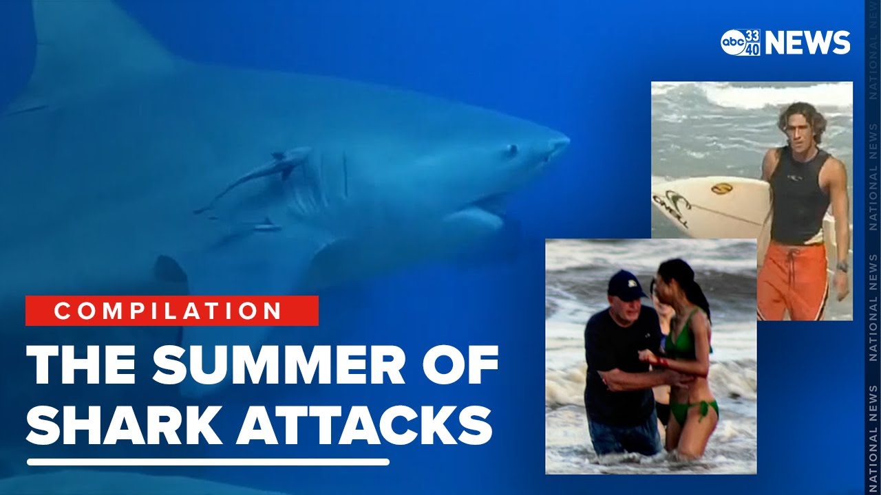Shark week turns into shark month as people across the country experience several attacks