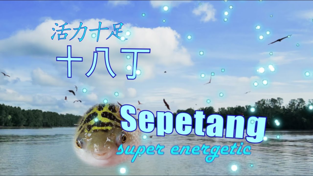 活力十足, Super Energetic, 十八丁 Sepetang,马来西亚. 美食美景. 4K, Sightseeing and Gourmet food.