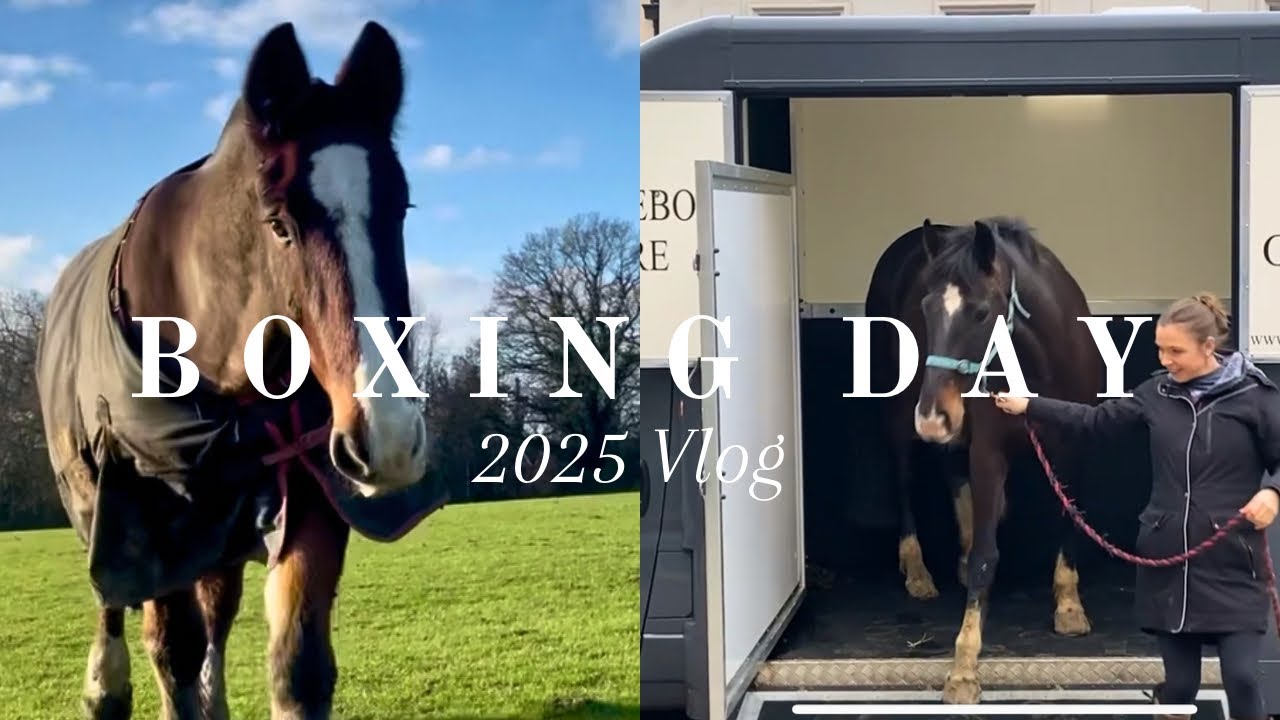 Boxing Day at the Yard | Transporting & Mucking Out Horses with My Toddler | Working Horsey Mum