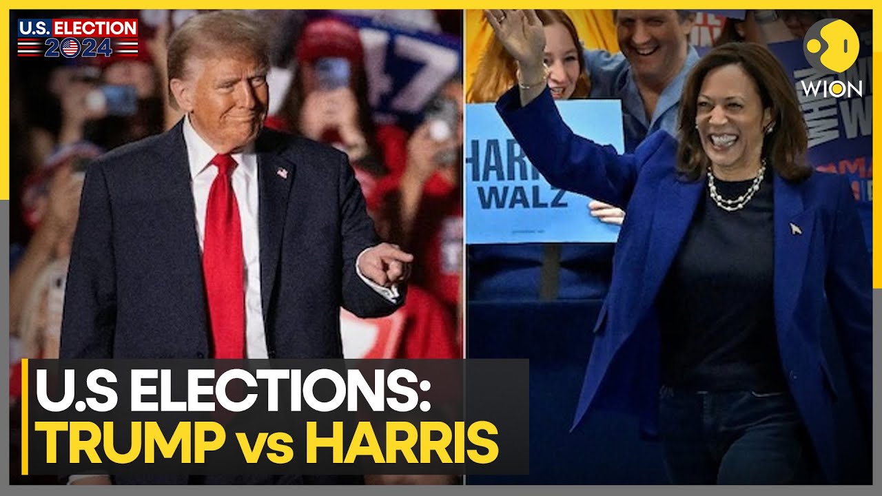 US Elections 2024: What's The Mood Of Indian American Voters? | Latest News | WION