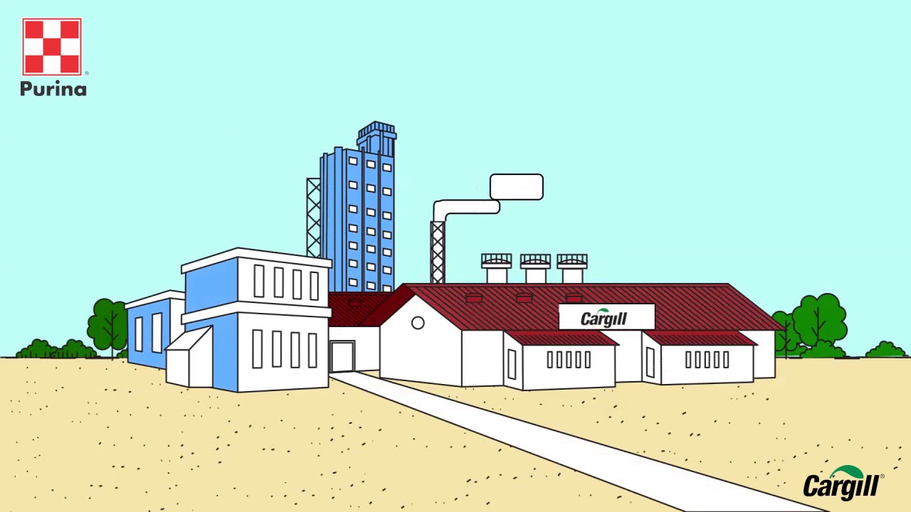 Journey of Cargill Feed & Nutrition, India | कारगिल फीड एंड न्यूट्रिशन, इंडिया की कहानी