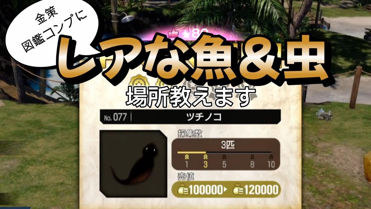 【ドンドコ島】虫や魚の入力場所紹介【龍が如く8】