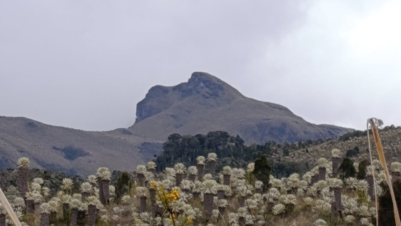 Huaca ceja de montaña  sendero nariz del diablo 8 de Marzo 2026