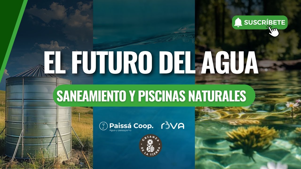 ¿Tu finca desperdicia agua? Aprende a captarla, purificarla y aprovecharla de forma regenerativa